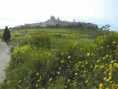 /album/mdina/a030319-mlt-mdina-01-jpg/